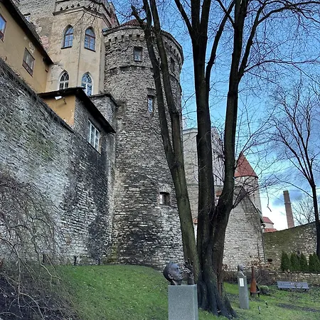 Captain's Castle דירה *